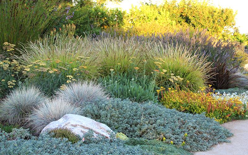 Water Saving Techniques In The Landscape - Red Rock Gardens